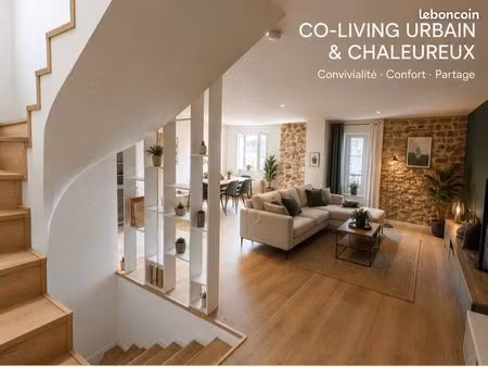 coliving chaleureux