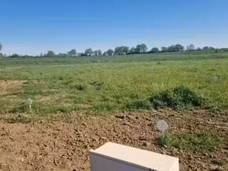 vente terrain à sarrigné (49800) : à vendre / sarrigné