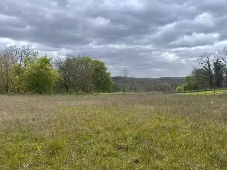 terrain à bâtir – 2 196 m² – ribagnac (proche de bergerac)