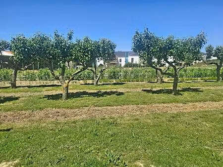 rare très beau terrain à bâtir