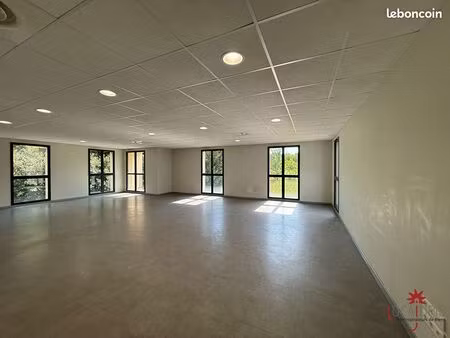 appartement 1 pièce 99 m²
