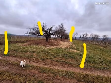 location jardin