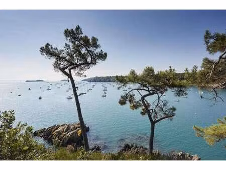 vente terrain à cancale (35260) : à vendre / 434m² cancale