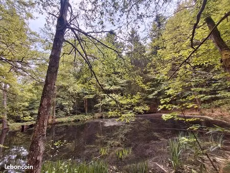 loue etangs forêt st nabor