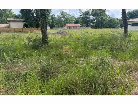 terrain le teich m² t- à vendre  263 000 €