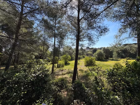 vente terrain 500 m² ollioules (83190)