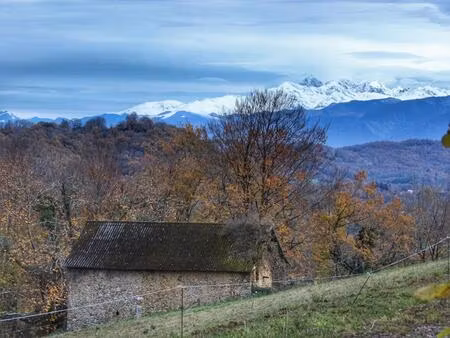 propriété à rénover avec grand terrain et panorama sur les pyrénées