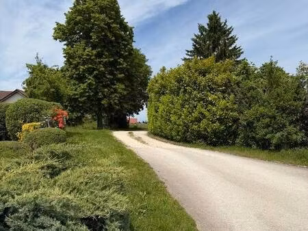 vazieux julia capifrance
