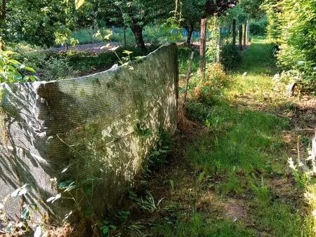 jardin d'agrément   potager