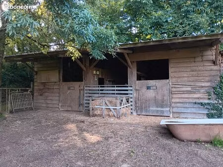 terrain pour chevaux
