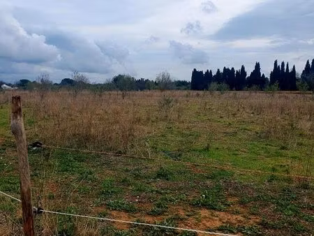 terrain agricole