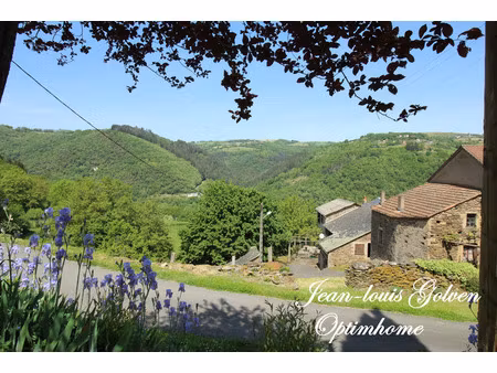 maison à vendre avec de beaux volumes  à quelques minutes de brousse-le-château (12)