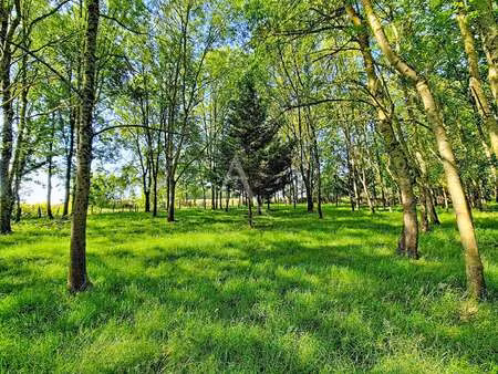 vente terrain à terranjou (49380) : à vendre / 6105m² terranjou