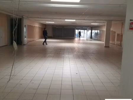 vente commerce grenoble 38000 452m²