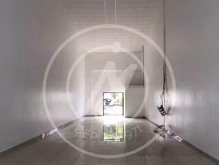 sn agence molinard immobilier