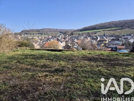 en vente terrain non constructible 619 m² – 23 000 € |raucourt-et-flaba