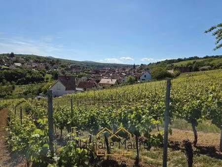 grand terrain constructible hors lotissement