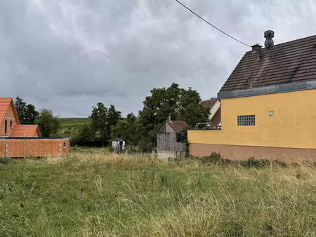 terrain – 531 m² westhoffen