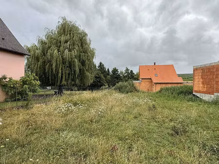 terrain – 591 m² westhoffen
