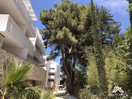 location appartement 1 pièce 28m² montpellier 34000