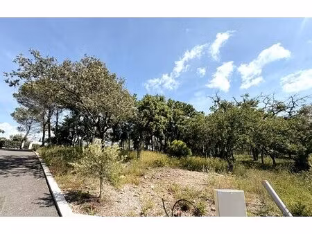 terrain viabilisé 768 m2 quartier vaulongue