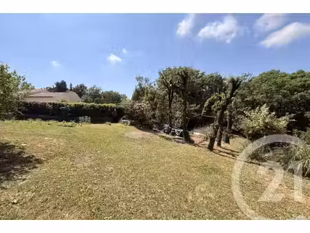 annonce terrain à vendre