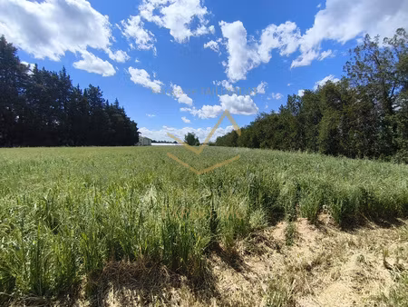 terrain agricole de 32 350m2 en zone gravitaire