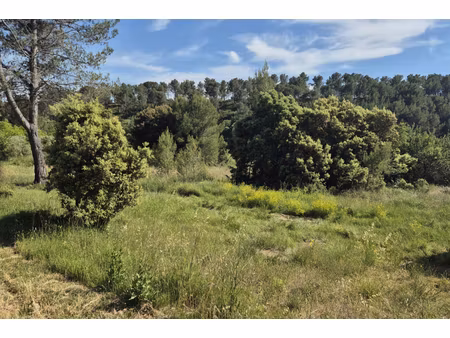 annonce terrain à vendre