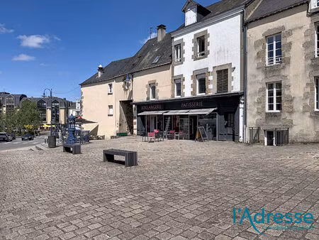 vente immeuble 23 pièces  200.00m²  mayenne