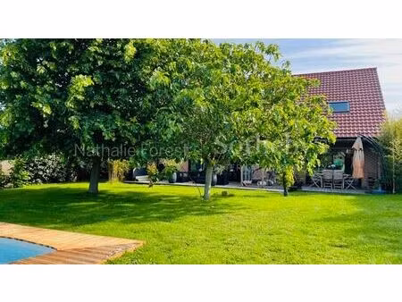 achat maison 7 pièces 206m² mons en pevele 59246