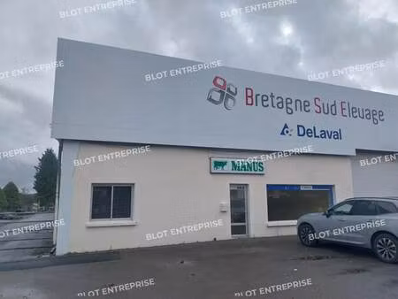 vente local d’activités chateauneuf du faou 29520 1673m²