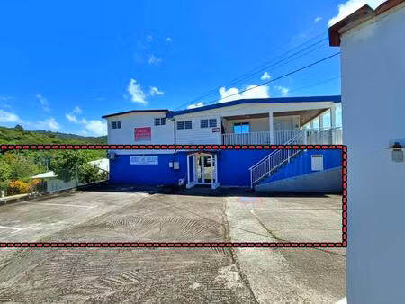 achat immeuble 140m² ste luce 97228