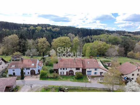 maison belval 10 pièces 217 m2