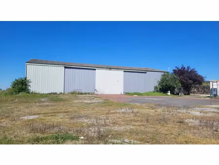 vente local industriel 1 pièce 450 m² draché (37800)