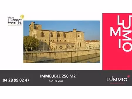 vente commerce romans sur isere 26100 250m²