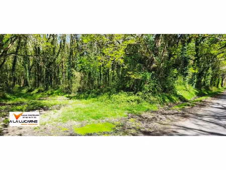 vente terrain guérande 44350 - 10668 € - surface privée