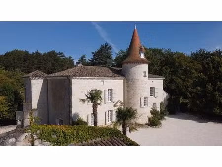 somptueux château restauré avec maison d’amis et piscine à quelques minutes de puymirol  l