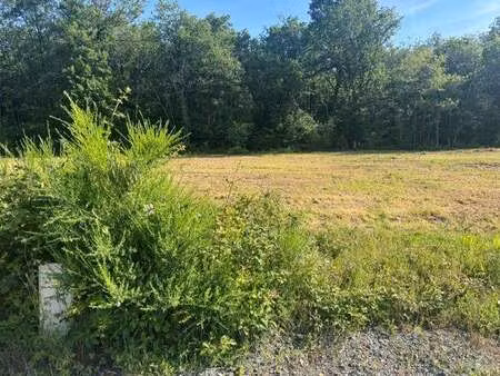 vente terrain à verrie (49400) : à vendre / 614m² verrie