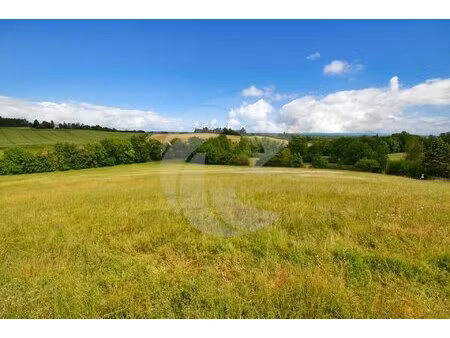 terrain avec vue dégagée sur les coteaux ? montalzat