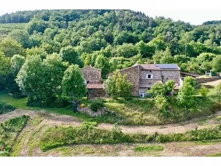un jolie tènement immobilier 215m2 et 11 000m2 de parcelle