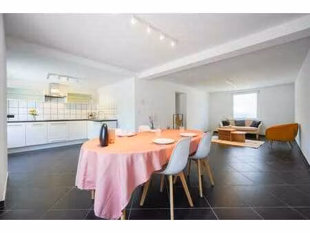 appartement au rdc rénové 2 ch - avec terrasse