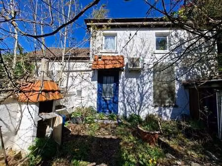 maison avec jardin