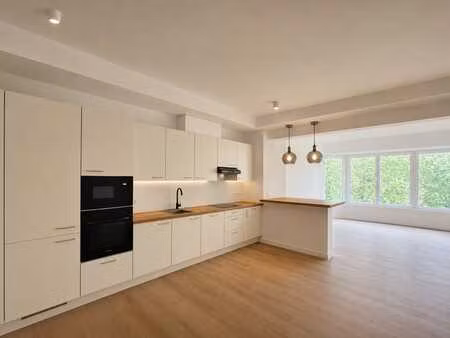 appartement grand et lumineux  1ère occupation  remis à neuf