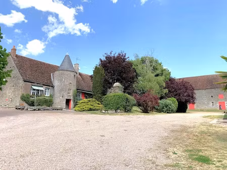 vente propriété 19 pièces 650 m² à saint-saulge (58330)  630 000 €