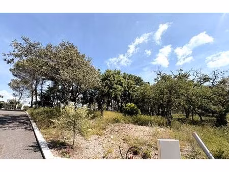 terrain viabilisé 768 m2 quartier vaulongue