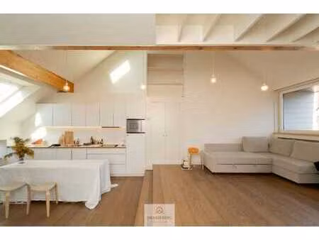 duplex-penthouse/loft in hartje gent!