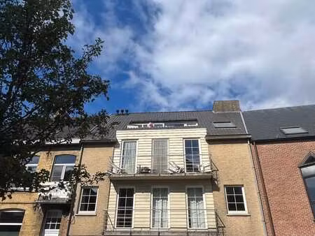 lichtrijk appartement met 1 slaapkamer  terras en grote z...