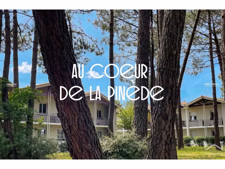 vente appartement 2 pièces 42.39 m² à gujan-mestras (33470)  186 500 €