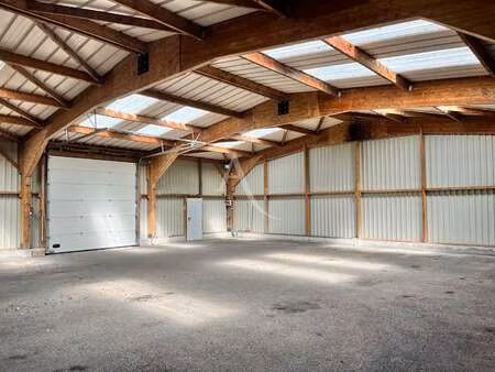 vente bureaux et commerces à segré-en-anjou-bleu (49500) : à vendre / 221m² segré-en-anjou