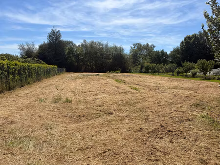 terrain constructible